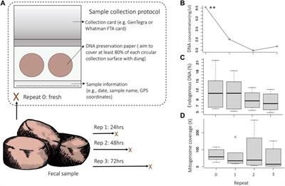 Combining methods for non-invasive fecal DNA enables whole genome and metagenomic analyses in wildlife biology